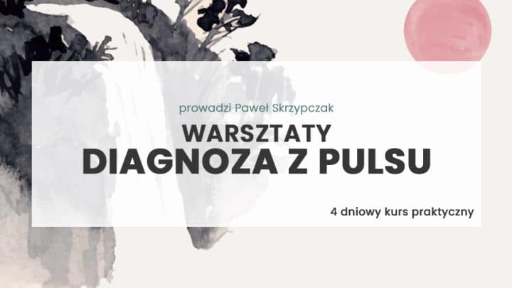 Diagnoza z pulsu Warsztaty