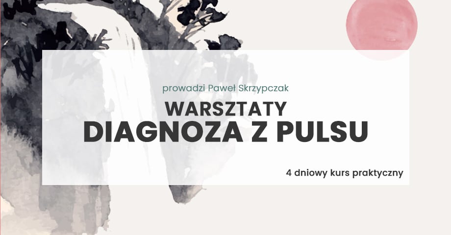 Diagnoza z pulsu Kurs 4-dniowy