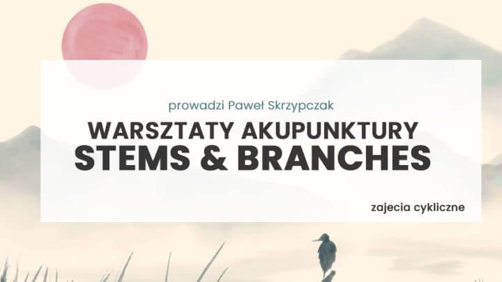Akupunktura Stems & Branches w praktyce - cykl webinarów