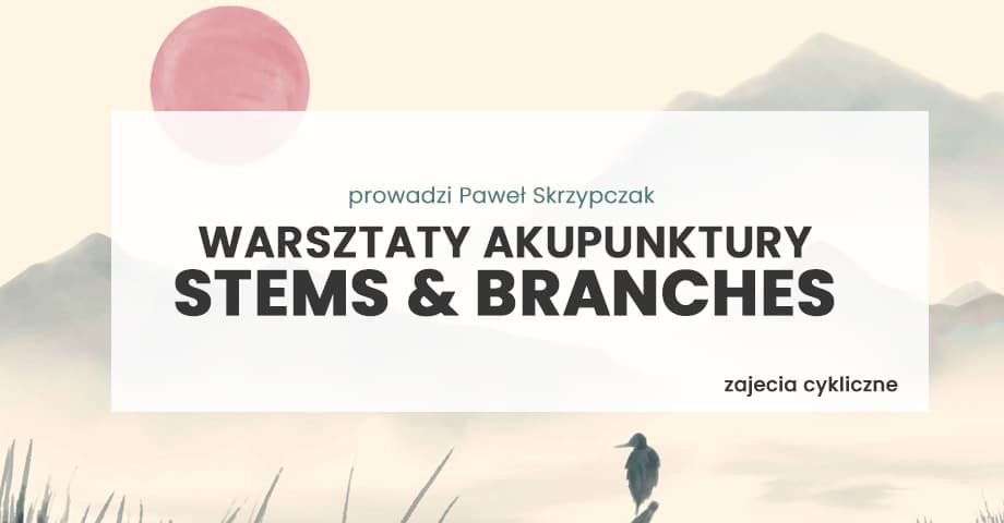 Akupunktura Stems & Branches w praktyce - cykl webinarów