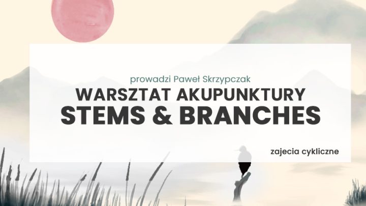 Akupunktura Stems and Branches w praktyce - Zajęcia cykliczne