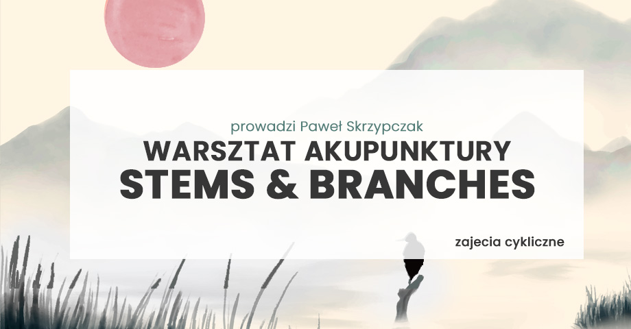 Akupunktura Stems and Branches w praktyce - Zajęcia cykliczne