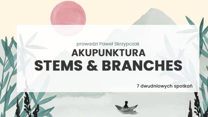 Akupunktura Stems&Branches2024