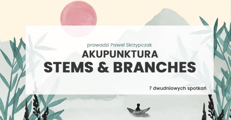 Akupunktura Stems&Branches2024